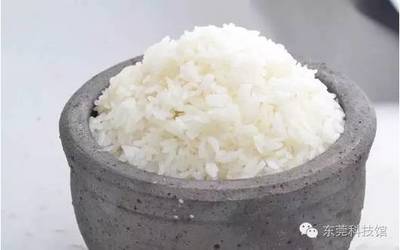 煮米饭总是不好吃？掌握这些技巧就对了