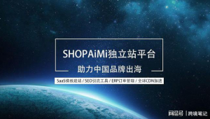 优乐出海公司点评