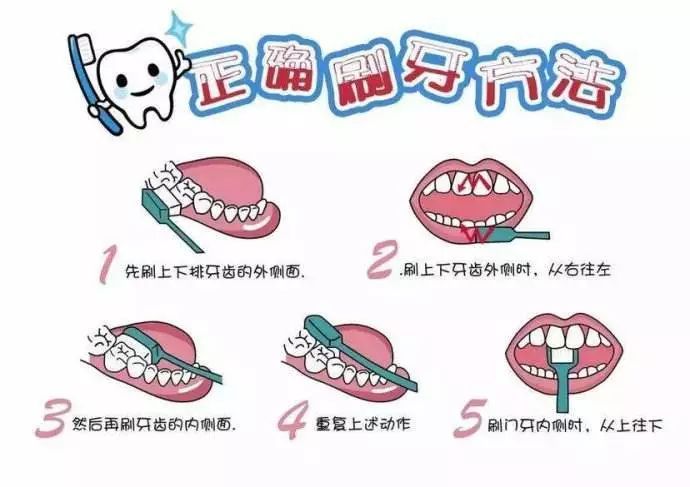 正确的刷牙方式，保护牙齿健康的关键