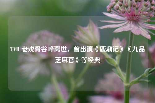 TVB 老戏骨谷峰离世，曾出演《鹿鼎记》《九品芝麻官》等经典