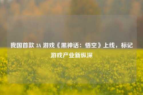 我国首款 3A 游戏《黑神话：悟空》上线，标记游戏产业新纵深