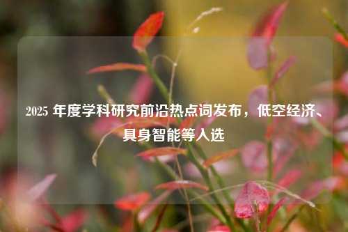 2025 年度学科研究前沿热点词发布，低空经济、具身智能等入选