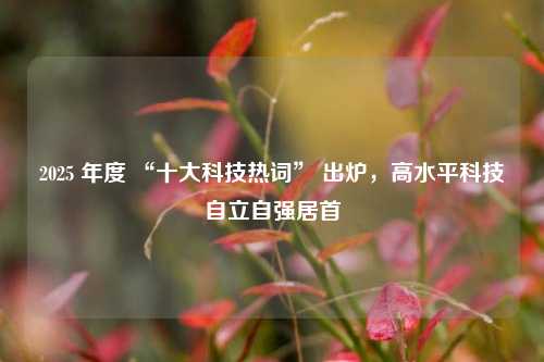 2025 年度 “十大科技热词” 出炉，高水平科技自立自强居首