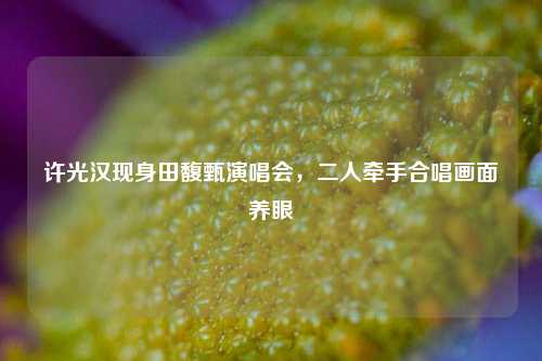许光汉现身田馥甄演唱会，二人牵手合唱画面养眼