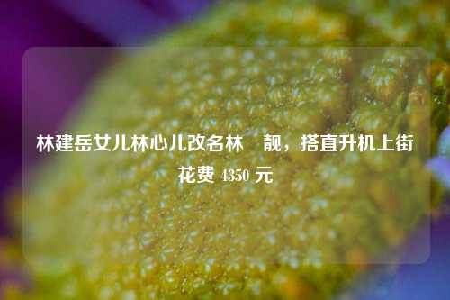 林建岳女儿林心儿改名林烜靓，搭直升机上街花费 4350 元