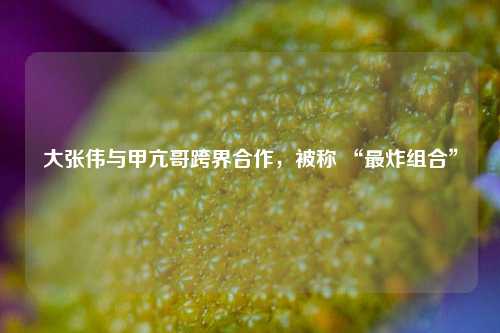大张伟与甲亢哥跨界合作，被称 “最炸组合”