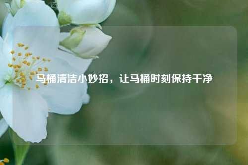 马桶清洁小妙招，让马桶时刻保持干净