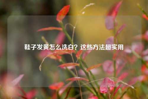鞋子发黄怎么洗白？这些方法超实用