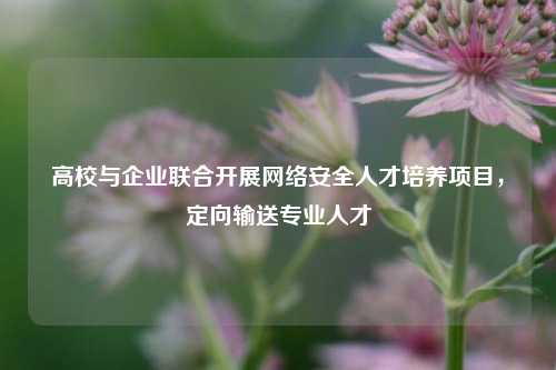 高校与企业联合开展网络安全人才培养项目，定向输送专业人才