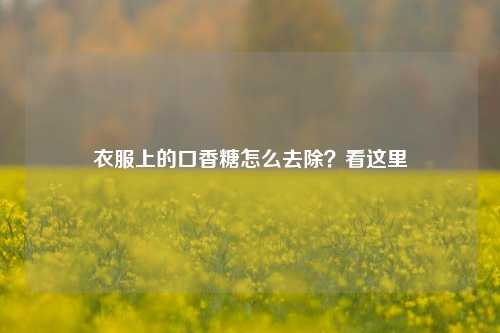 衣服上的口香糖怎么去除？看这里
