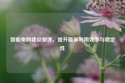智能电网建设加速，提升能源利用效率与稳定性