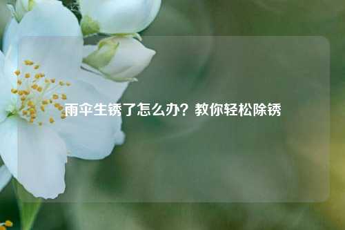 雨伞生锈了怎么办？教你轻松除锈