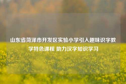 山东省菏泽市开发区实验小学引入趣味识字教学特色课程 助力汉字知识学习