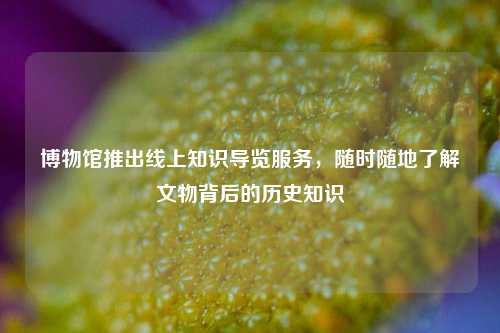 博物馆推出线上知识导览服务，随时随地了解文物背后的历史知识