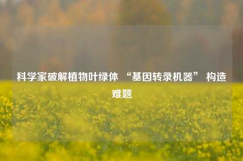 科学家破解植物叶绿体 “基因转录机器” 构造难题