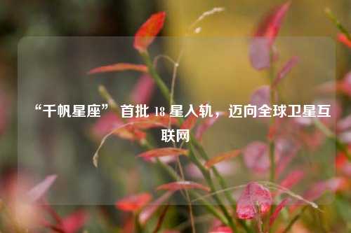 “千帆星座” 首批 18 星入轨，迈向全球卫星互联网
