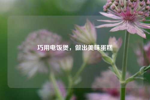 巧用电饭煲，做出美味蛋糕