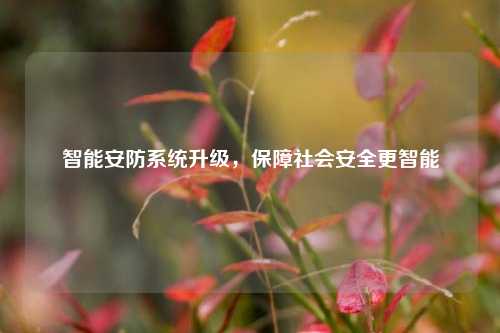 智能安防系统升级，保障社会安全更智能