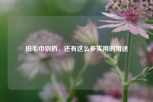 旧毛巾别扔，还有这么多实用的用途