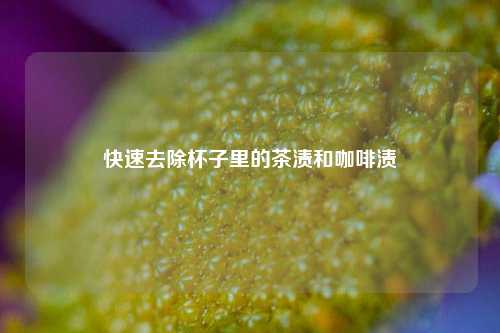 快速去除杯子里的茶渍和咖啡渍