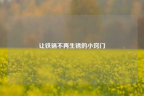 让铁锅不再生锈的小窍门