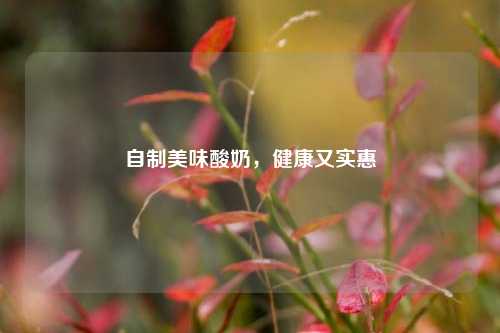 自制美味酸奶，健康又实惠