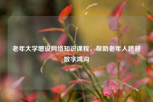 老年大学增设网络知识课程，帮助老年人跨越数字鸿沟