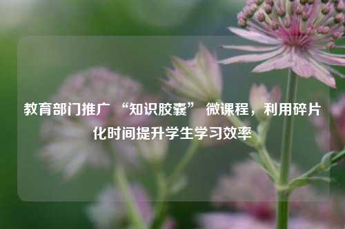 教育部门推广 “知识胶囊” 微课程，利用碎片化时间提升学生学习效率